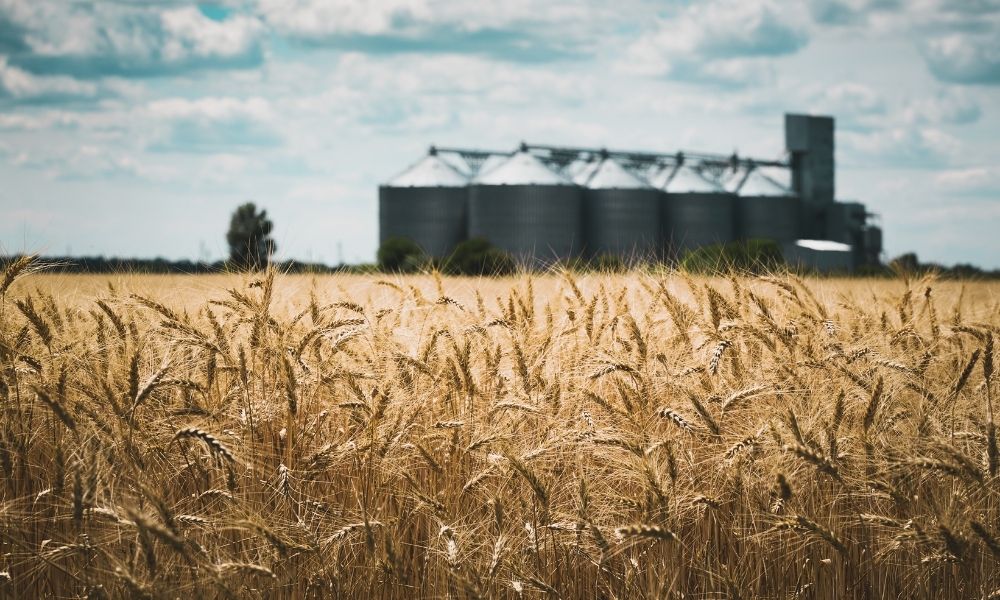 Different Types of Grain Elevators